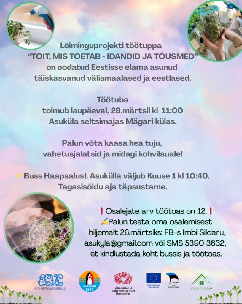 Idandite ja tõusmete kasvatamise töötuba Haapsalus kus õpitakse kodus kasvatama tervislikke idandeid ja mikrovõrseid