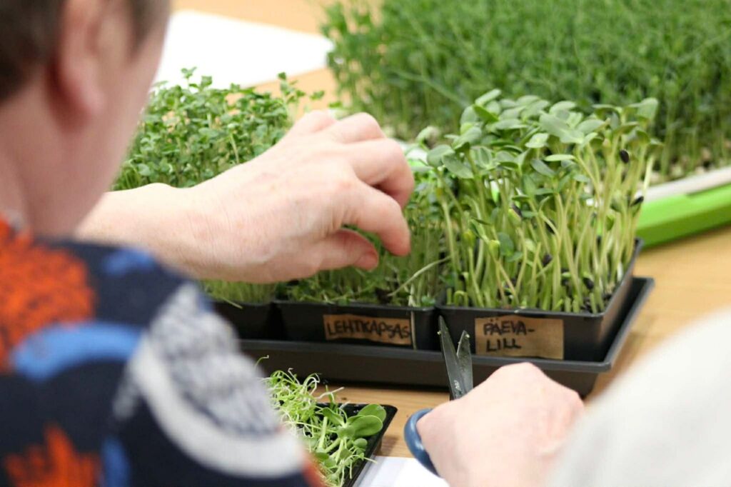 Idandamise töötuba Asukülas Seltsimajas, Läänemaal. Projekti Lõimumise ja kohanemise tugi Haapsalus raames